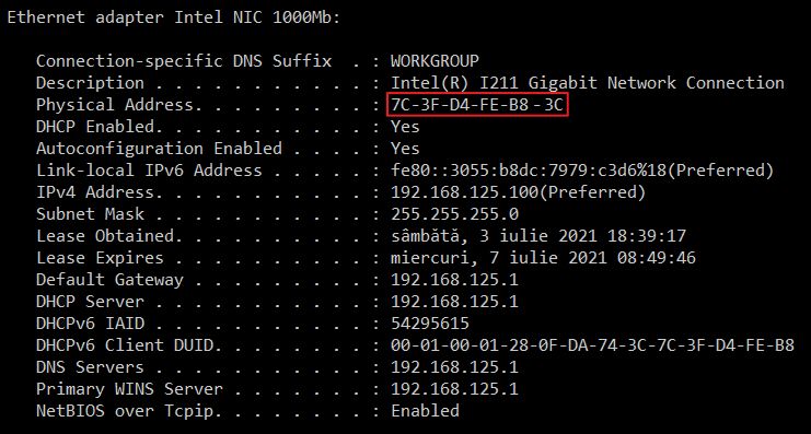 network card mac address