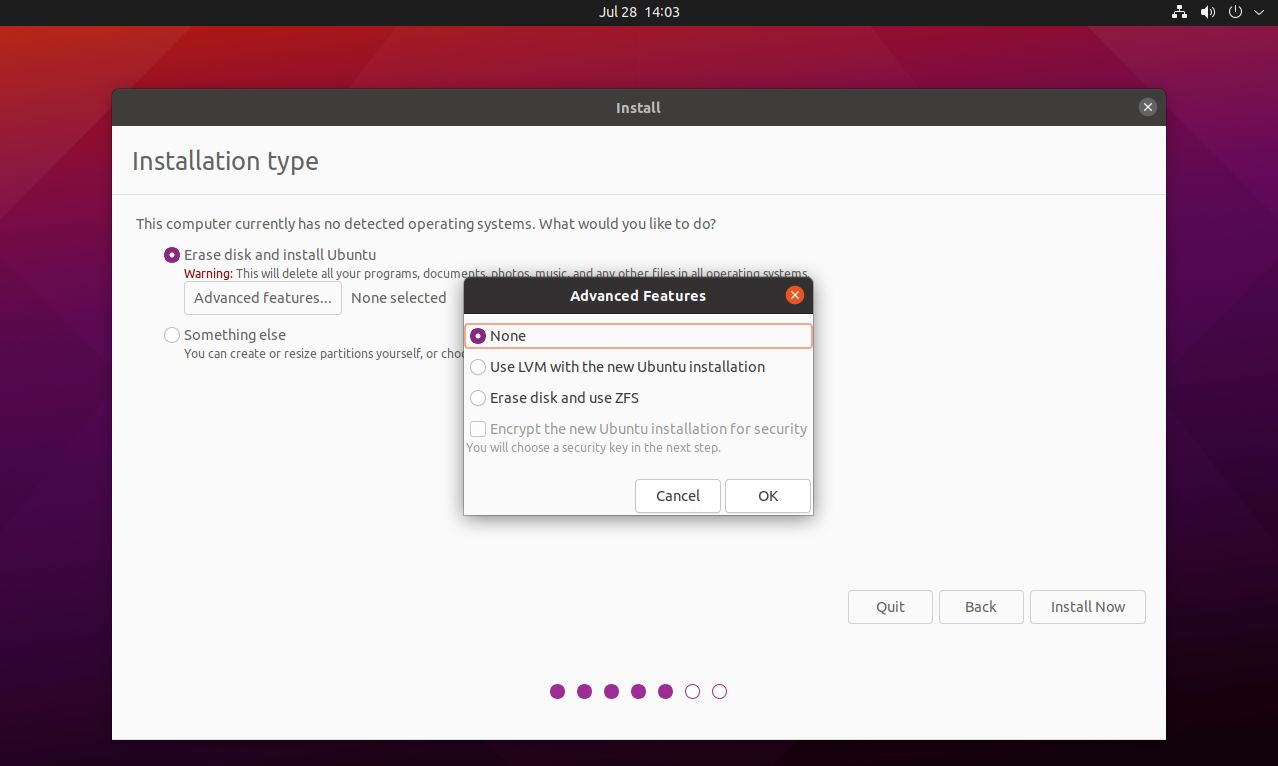 ubuntu installation type advanced options
