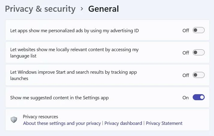 windows 11 privacy general settings
