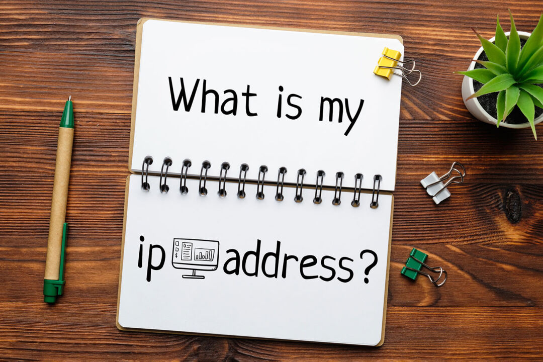 How to Easily Find The Current IP Address in Windows 11 in Seconds