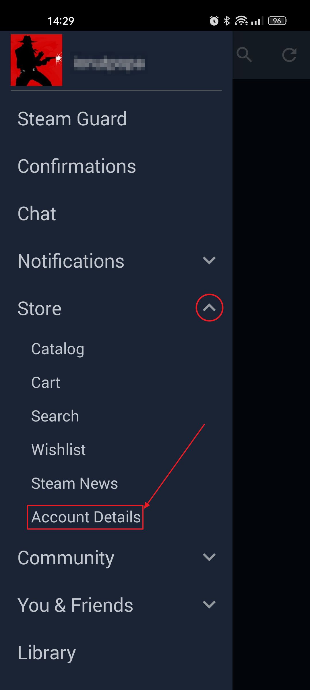 steam android ios account details