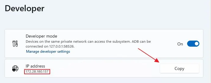 wsa ip address