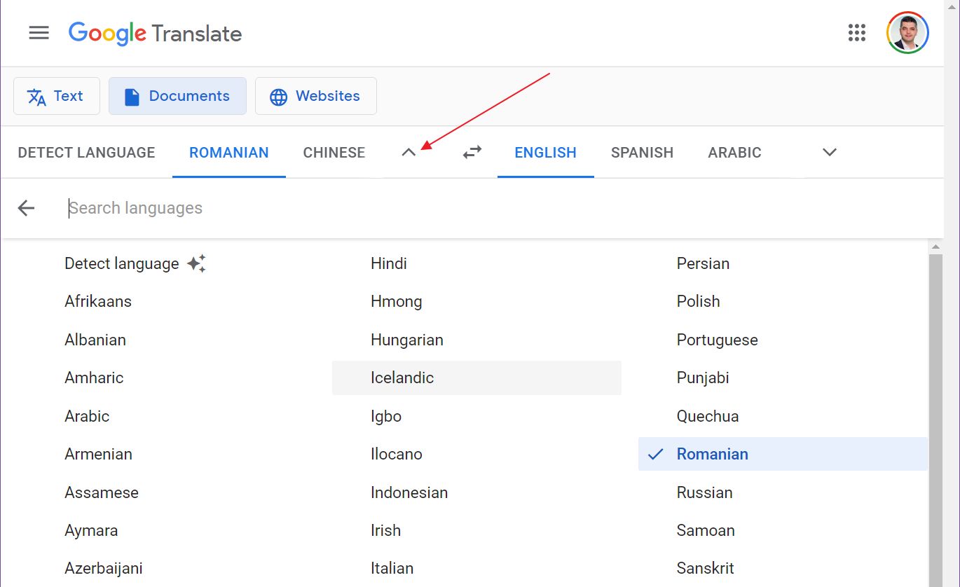 google translate choose language