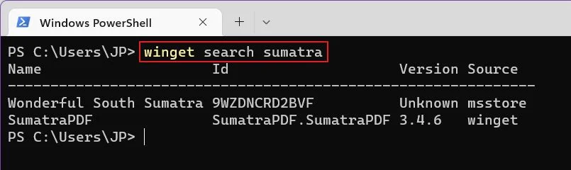 il gestore di pacchetti di windows cerca un'applicazione