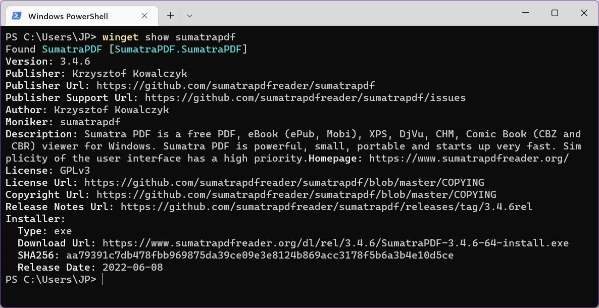 windows package manager mostra informazioni sulle app