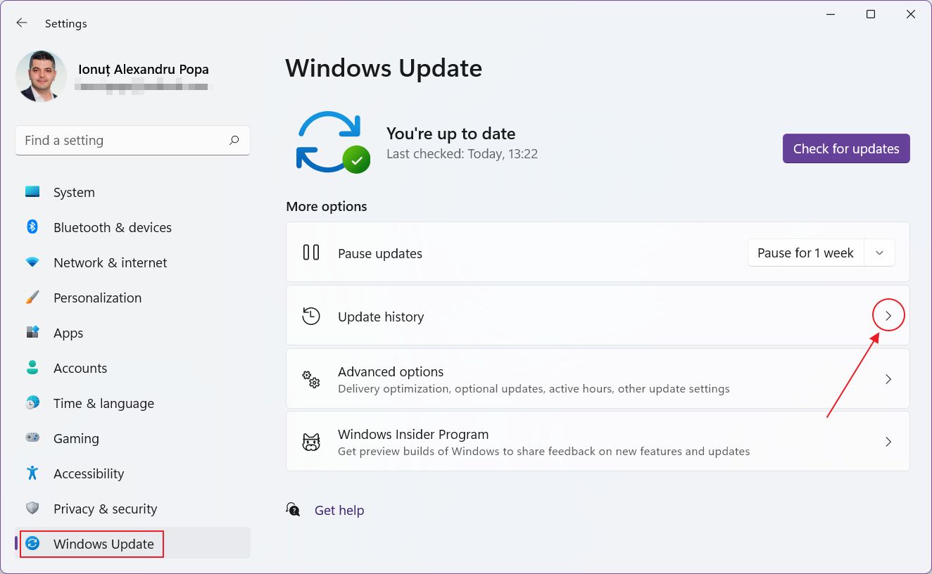 windows settings app update history