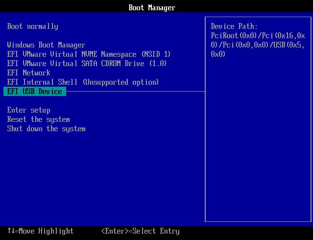 computer boot manager dispositivo usb