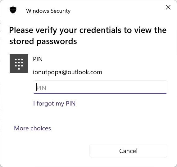 windows credential manager verify your credentials to view stored passwords