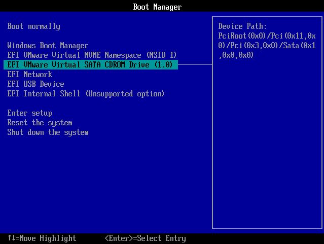 boot manager cdrom drive