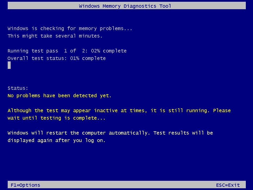 windows is checking for memory problems