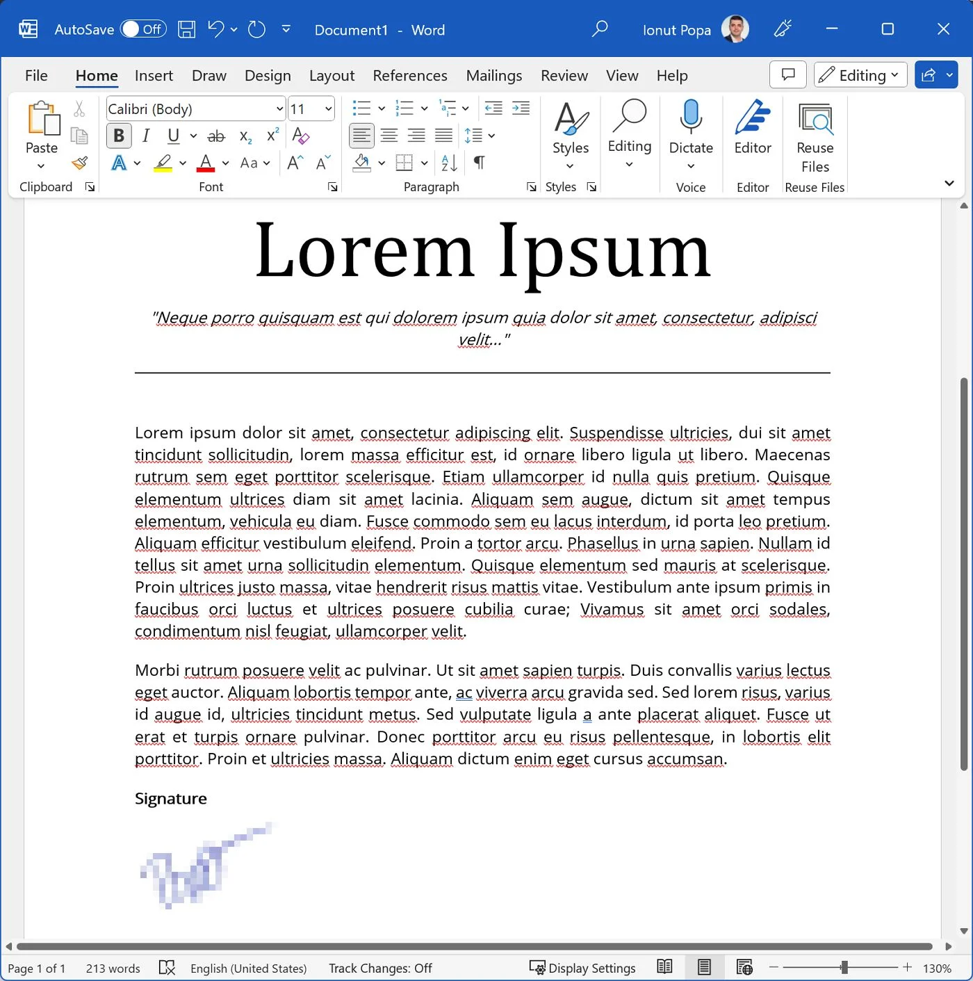 带有手写签名的 Microsoft Word 文档