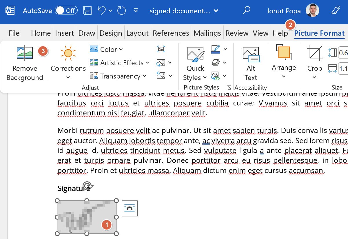 microsoft word signature with background