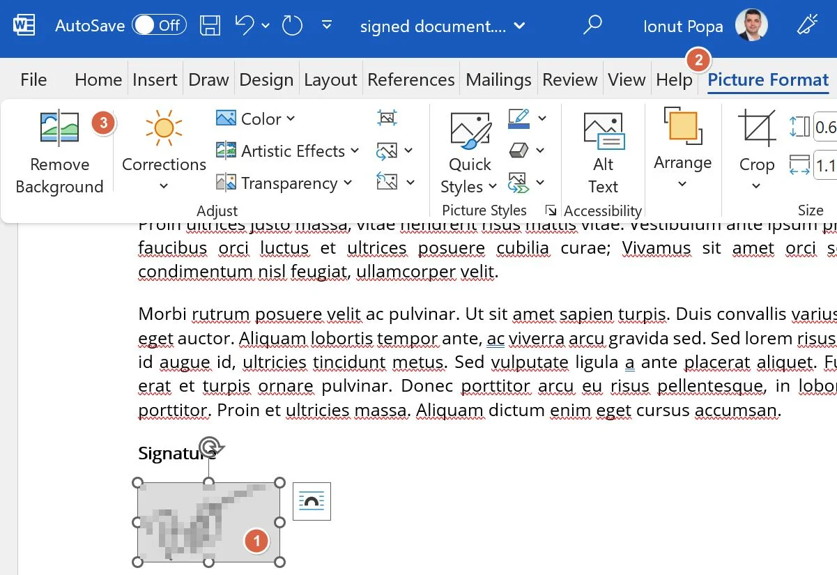 带背景的 microsoft word 签名