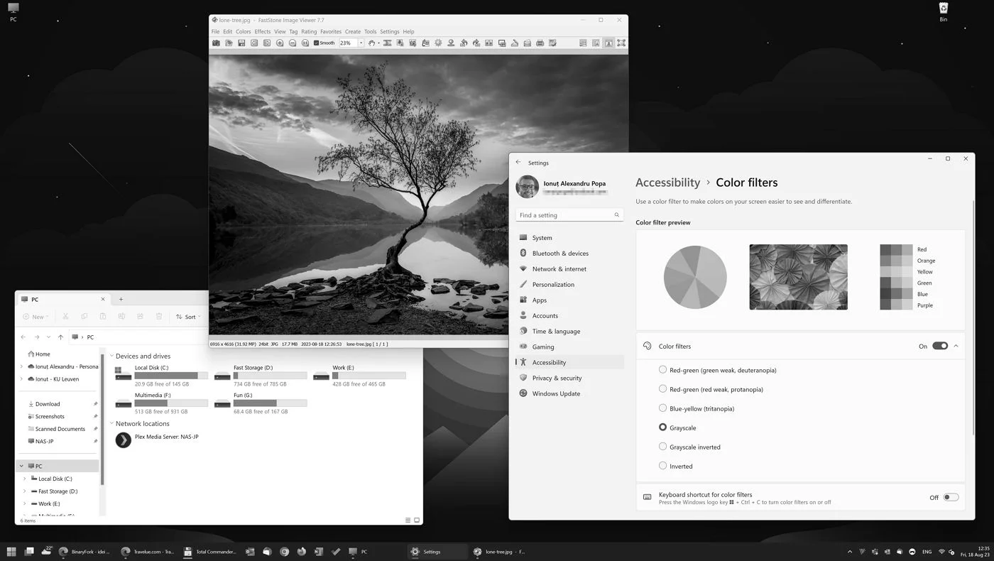 windows greyscale color filter
