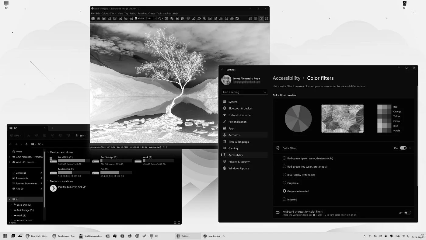 windows greyscale inverted color filter