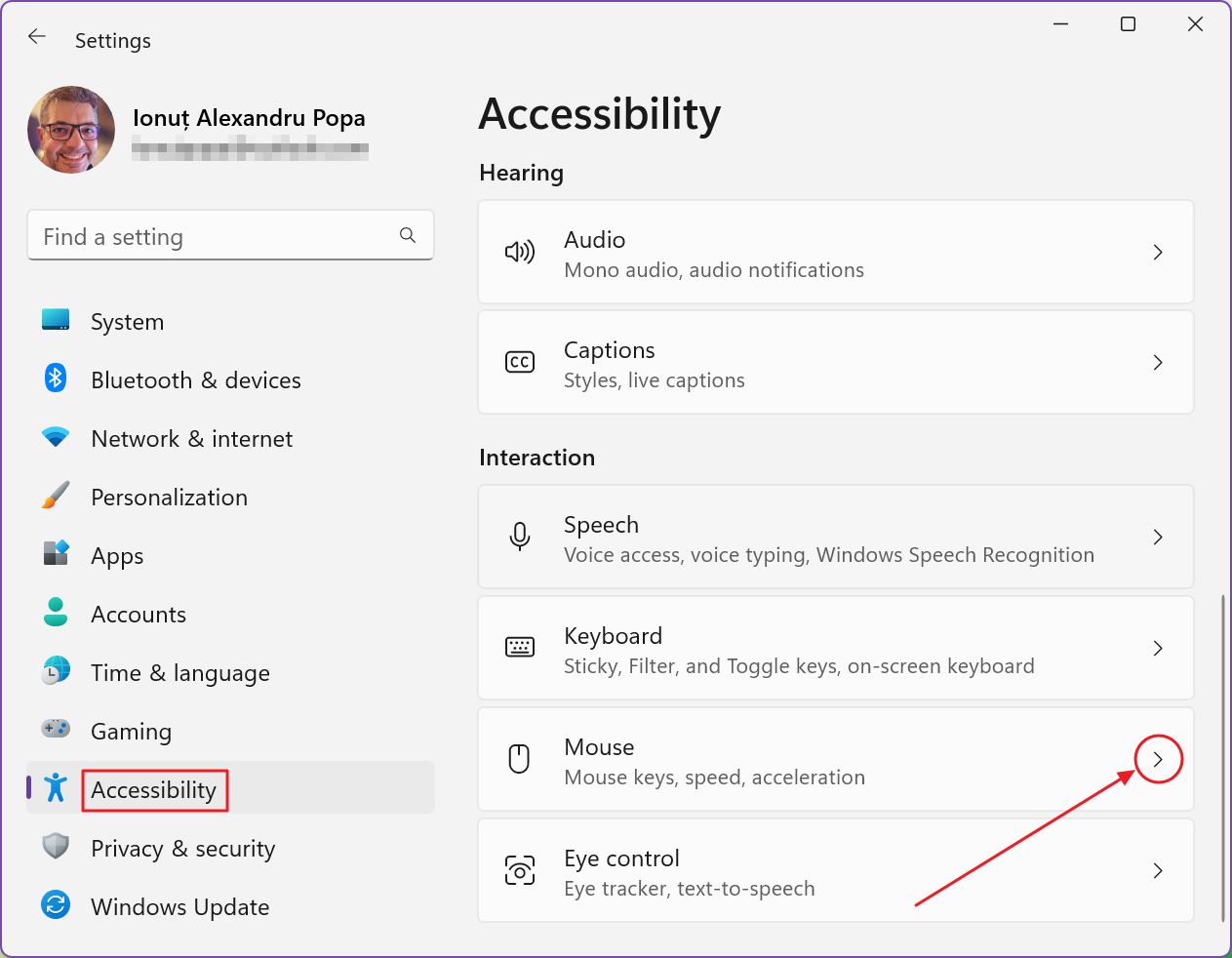 windows settings accesibility mouse