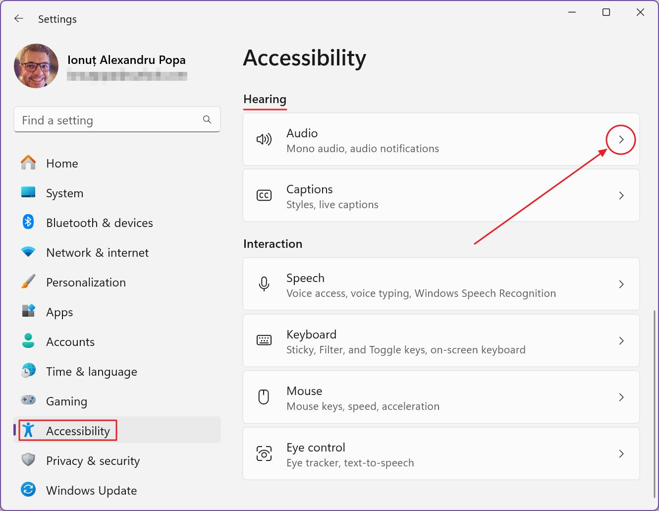windows accessibility settings audio
