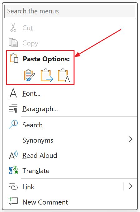 word paste options