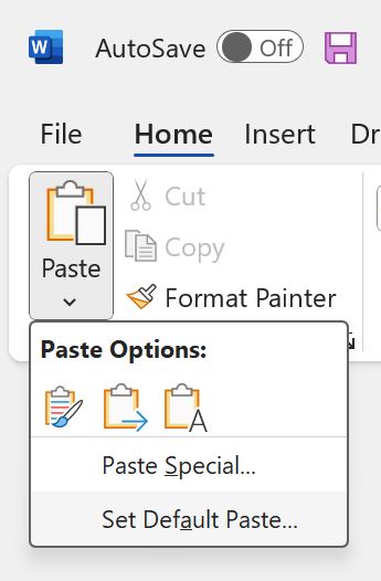 word set default paste