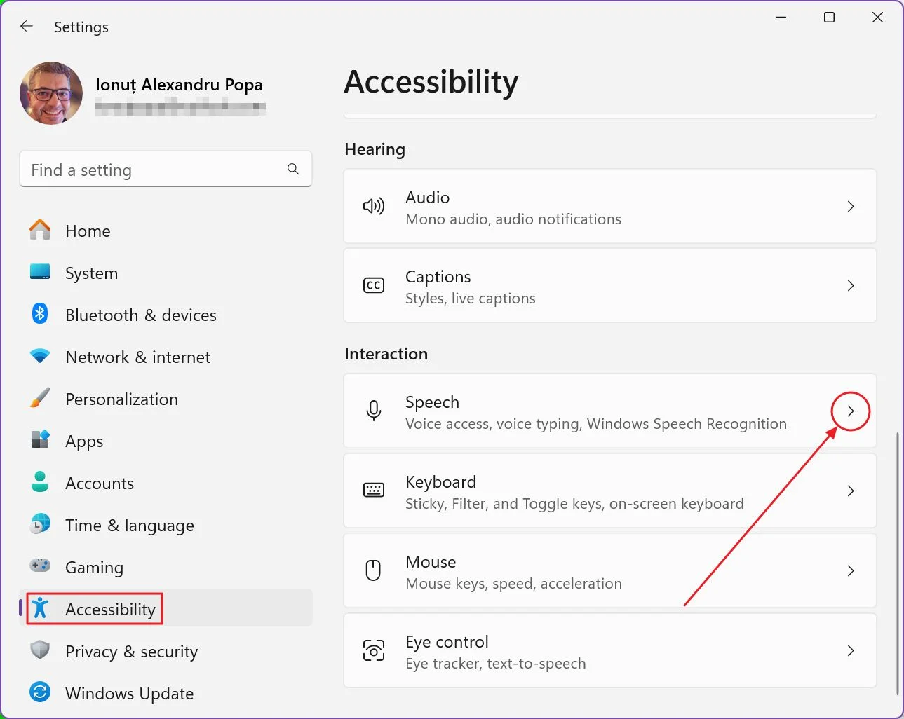 discorso sull'accessibilità delle impostazioni di windows